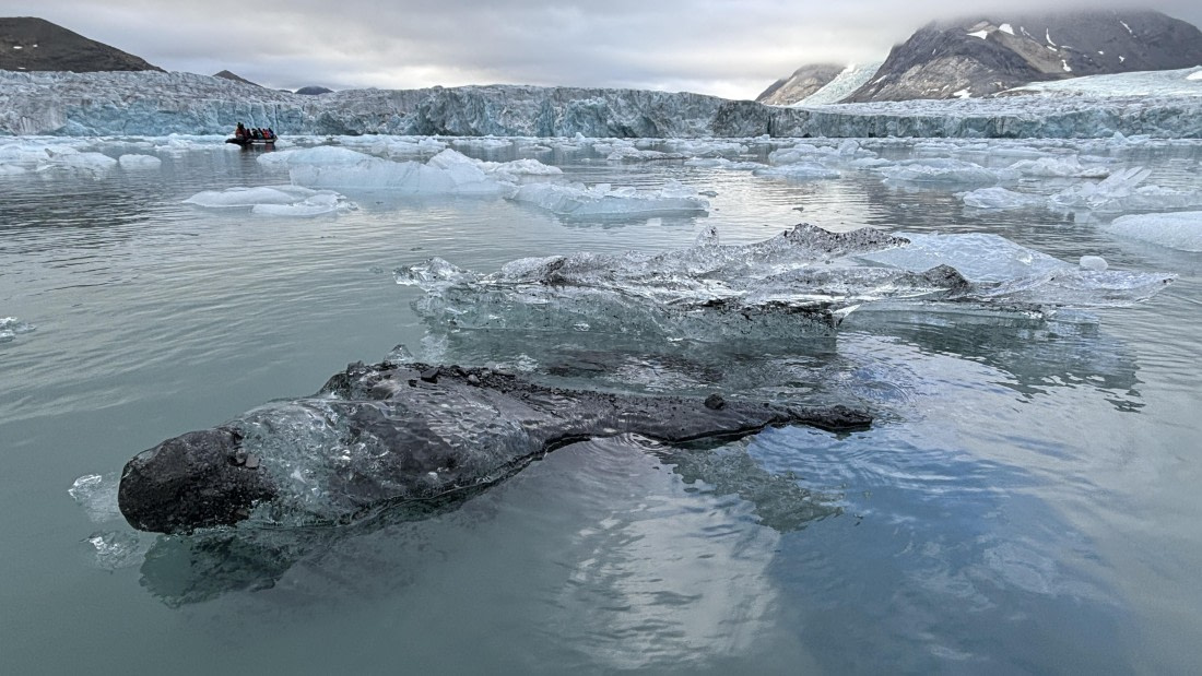 PLA10-24, Day 8, PLA10-24_4252_© Ursula Tscherter © Ursula Tscherter - Oceanwide Expeditions.jpg