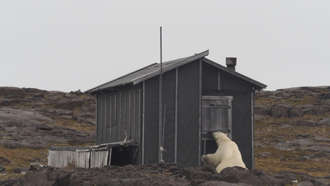 PLA10-24, Day 7, PLA10-24__1010127_© Ursula Tscherter © Ursula Tscherter - Oceanwide Expeditions.JPG