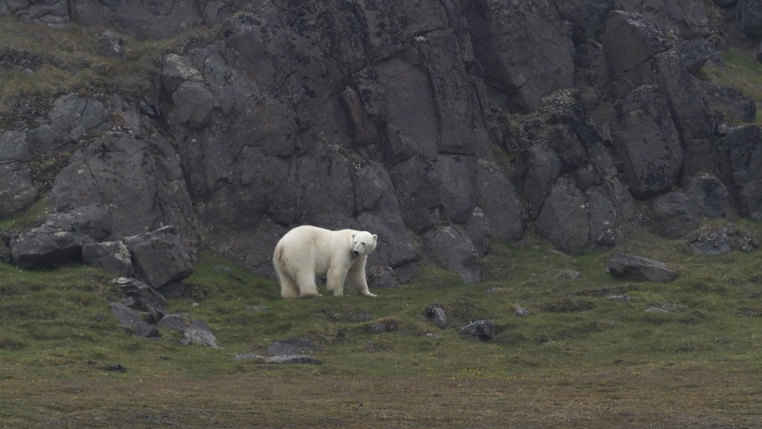 PLA10-24, Day 7, PLA10-24__1010224_© Ursula Tscherter © Ursula Tscherter - Oceanwide Expeditions.JPG