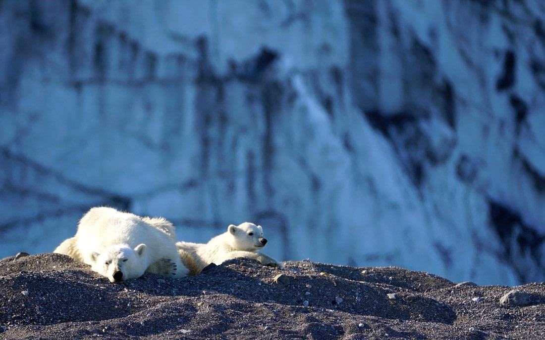 MommabearAndBabybear