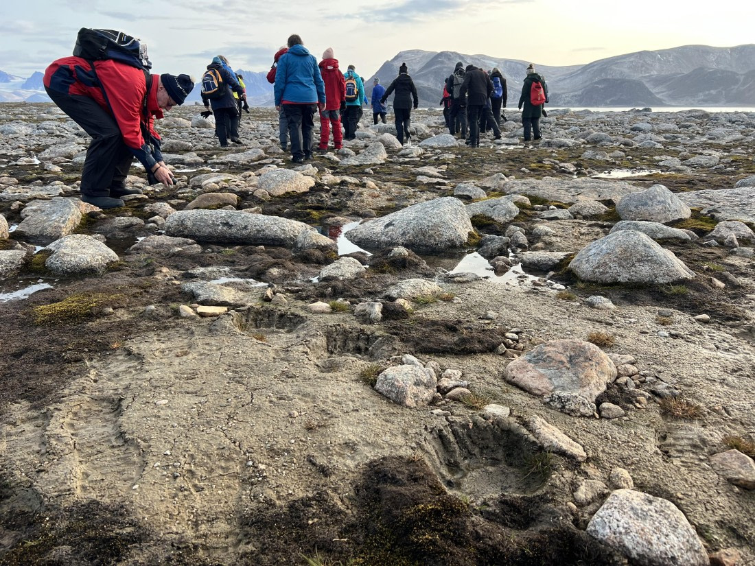 PLA11-24, Day 2,  IMG_5621 © Jess Owen - Oceanwide Expeditions.jpg