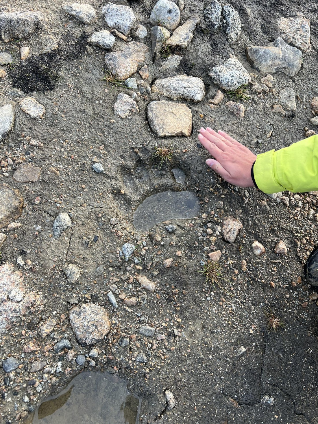 PLA11-24, Day 2,  IMG_5617 © Jess Owen - Oceanwide Expeditions.jpg