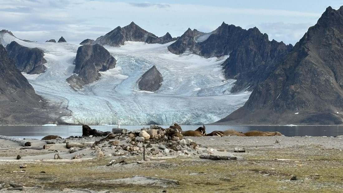 PLA11-24, Day 2, 4564_© Ursula Tscherter © Ursula Tscherter - Oceanwide Expeditions.jpg