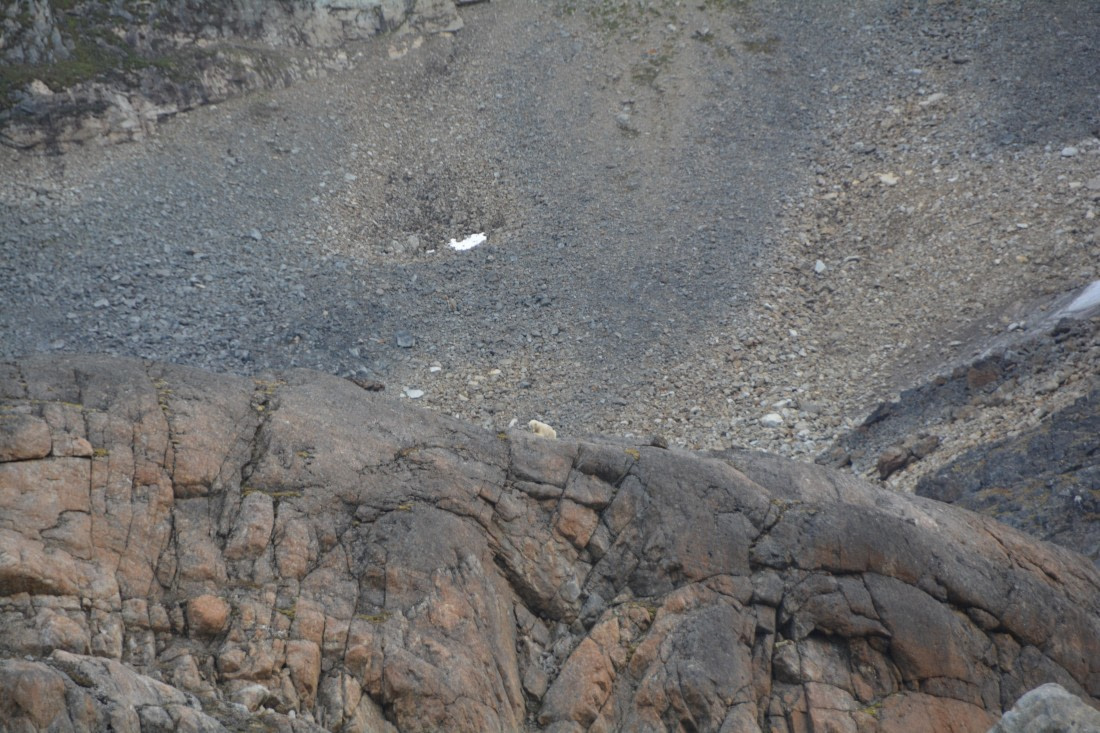 PLA11-24, Day 2, DSC_0042 © Paolo Bellezze - Oceanwide Expeditions.JPG