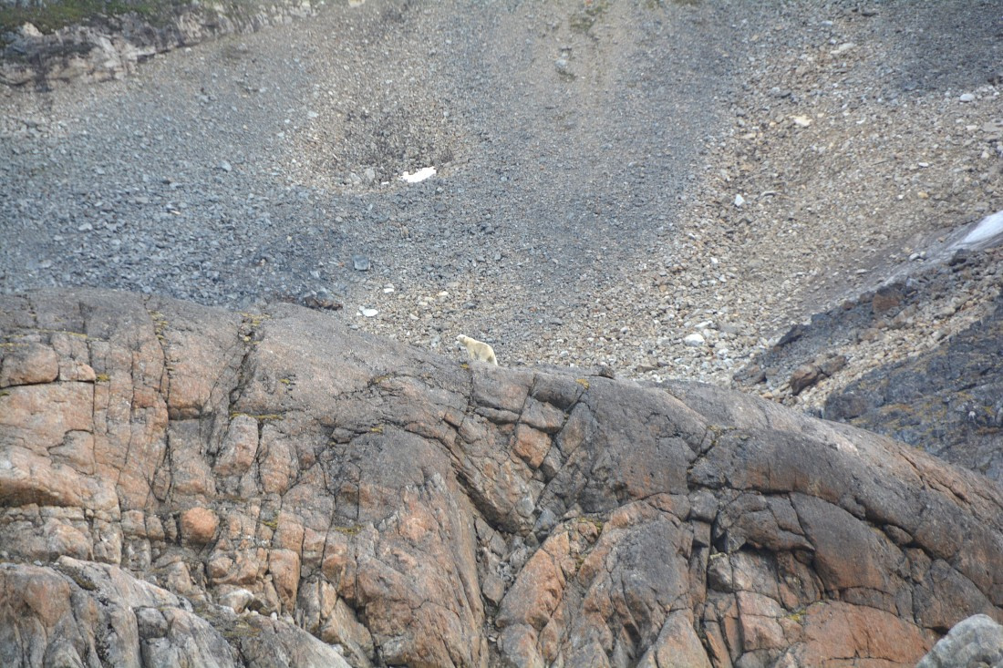 PLA11-24, Day 2, DSC_0049 © Paolo Bellezze - Oceanwide Expeditions.JPG