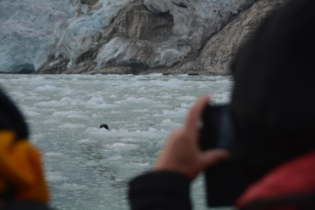 PLA11-24, Day 2, DSC_0086 © Paolo Bellezze - Oceanwide Expeditions.JPG