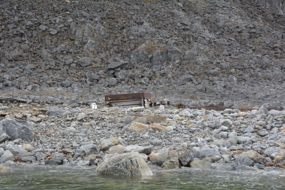 PLA11-24, Day 2, DSC_0101 © Paolo Bellezze - Oceanwide Expeditions.JPG