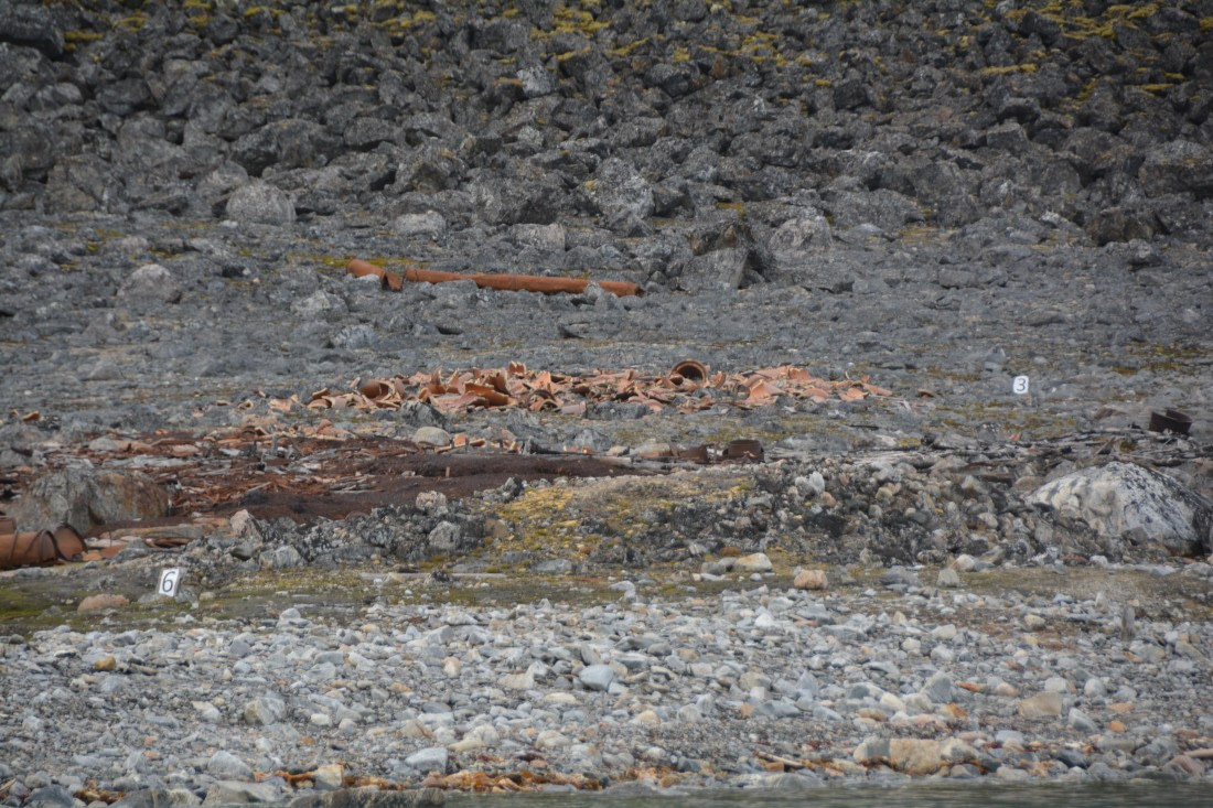 PLA11-24, Day 2, DSC_0105 © Paolo Bellezze - Oceanwide Expeditions.JPG