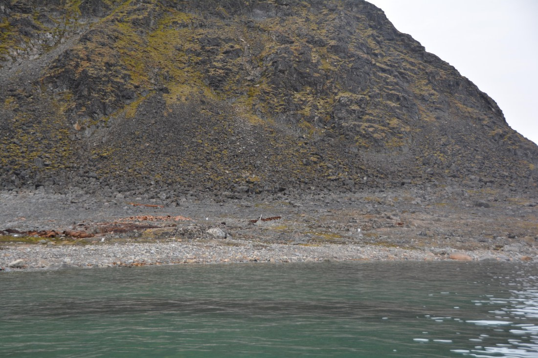 PLA11-24, Day 2, DSC_0106 © Paolo Bellezze - Oceanwide Expeditions.JPG