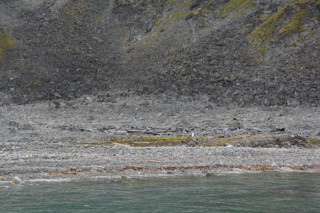 PLA11-24, Day 2, DSC_0108 © Paolo Bellezze - Oceanwide Expeditions.JPG