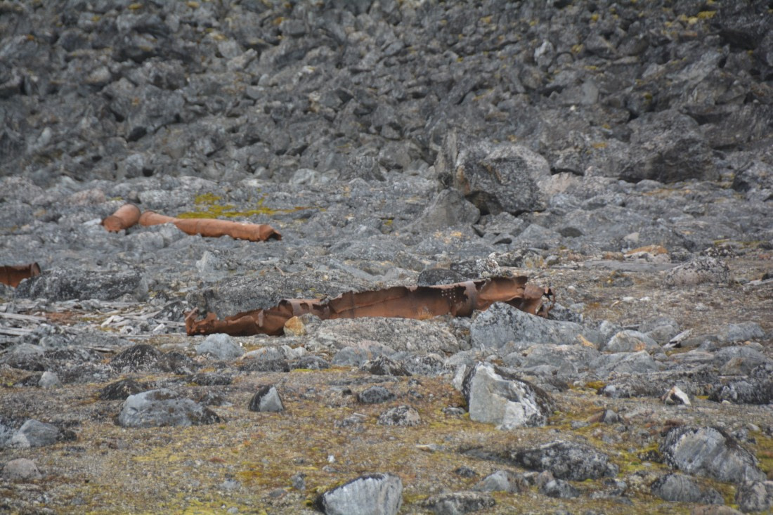 PLA11-24, Day 2, DSC_0109 © Paolo Bellezze - Oceanwide Expeditions.JPG