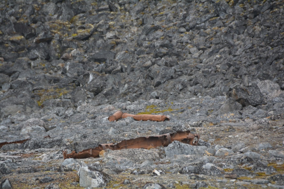 PLA11-24, Day 2, DSC_0111 © Paolo Bellezze - Oceanwide Expeditions.JPG