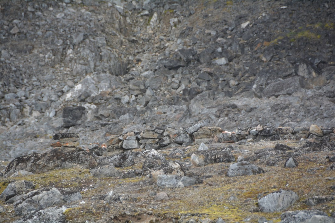 PLA11-24, Day 2, DSC_0114 © Paolo Bellezze - Oceanwide Expeditions.JPG