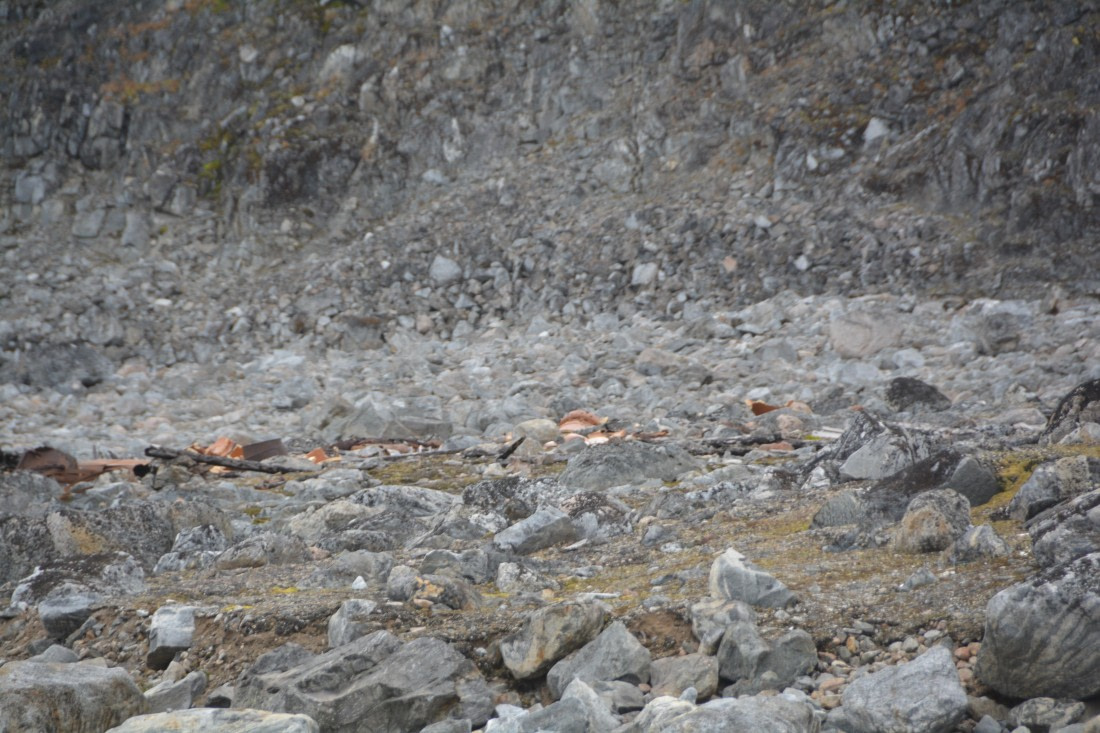 PLA11-24, Day 2, DSC_0115 © Paolo Bellezze - Oceanwide Expeditions.JPG