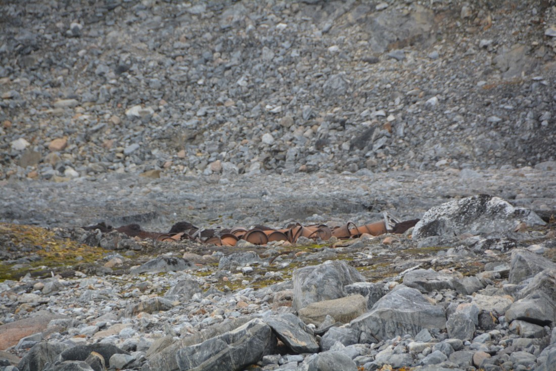 PLA11-24, Day 2, DSC_0119 © Paolo Bellezze - Oceanwide Expeditions.JPG