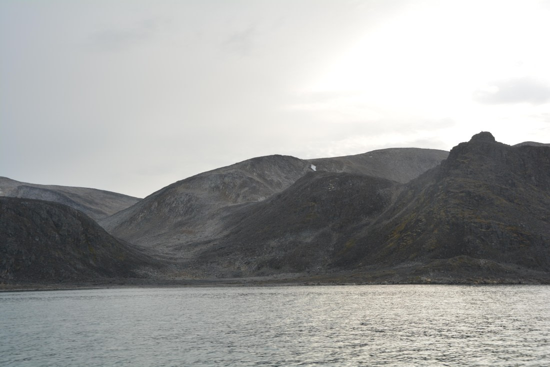 PLA11-24, Day 2, DSC_0130 © Paolo Bellezze - Oceanwide Expeditions.JPG