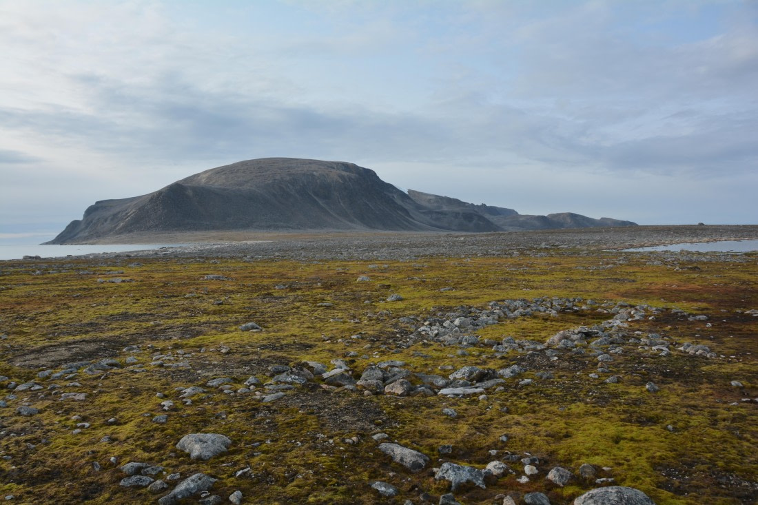 PLA11-24, Day 2, DSC_0173 © Paolo Bellezze - Oceanwide Expeditions.JPG
