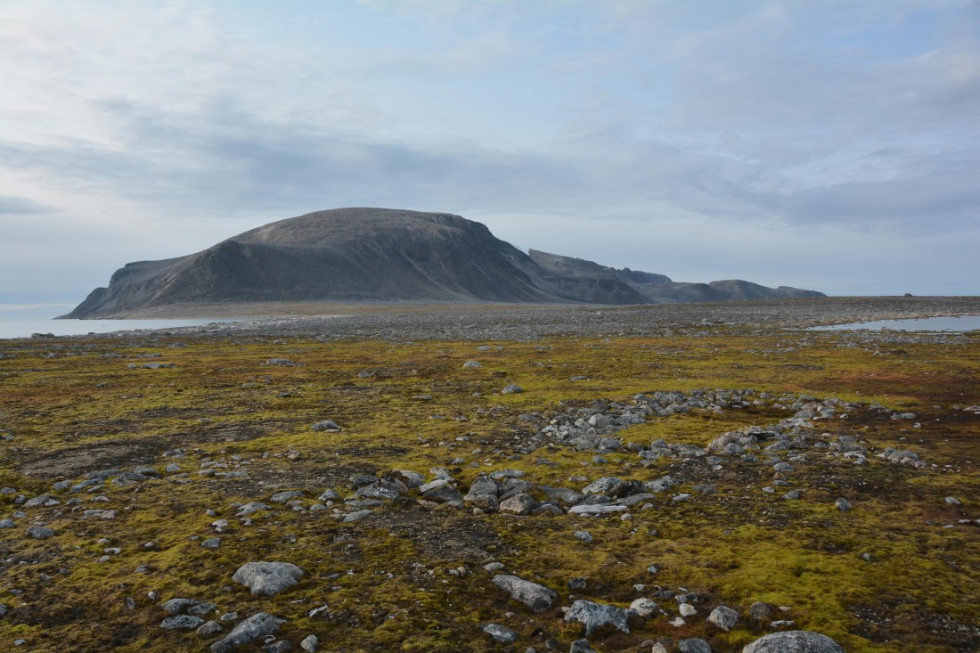 PLA11-24, Day 2, DSC_0174 © Paolo Bellezze - Oceanwide Expeditions.JPG