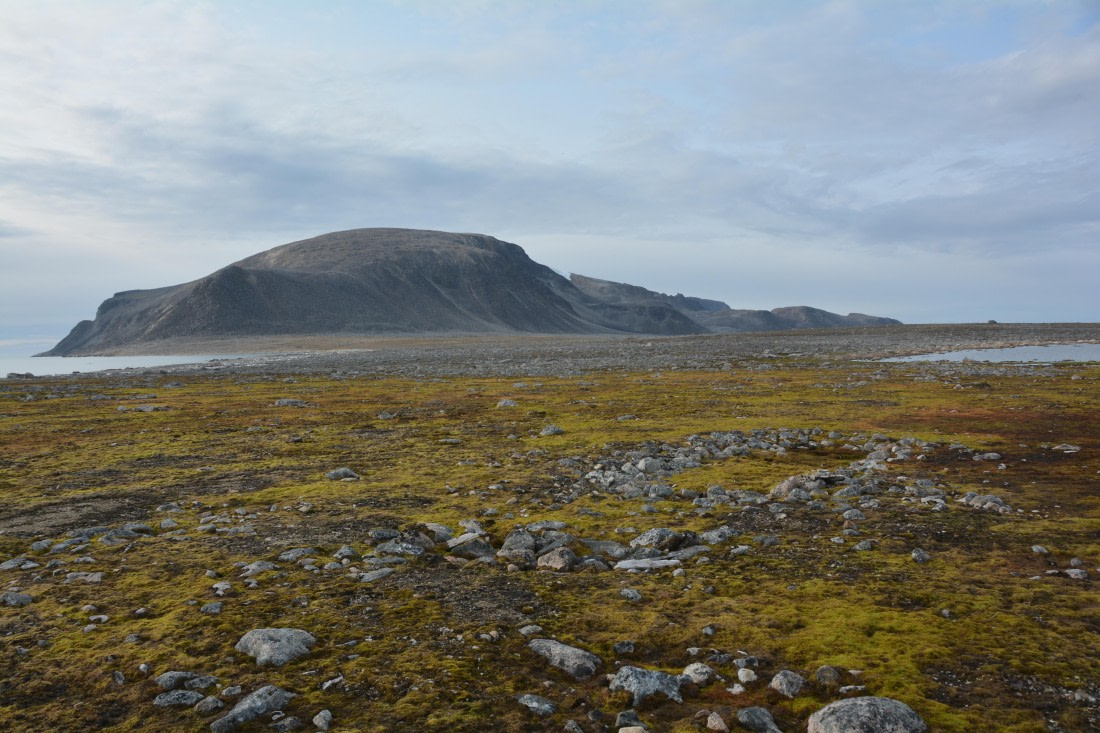 PLA11-24, Day 2, DSC_0175 © Paolo Bellezze - Oceanwide Expeditions.JPG