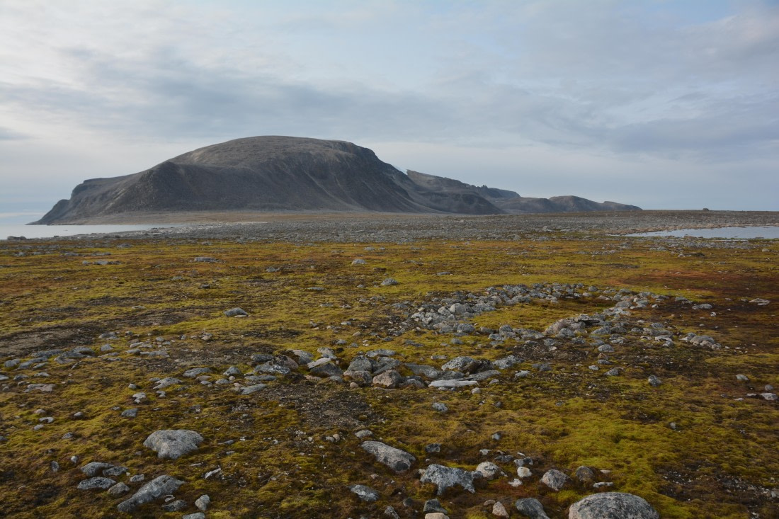 PLA11-24, Day 2, DSC_0178 (2) © Paolo Bellezze - Oceanwide Expeditions.JPG