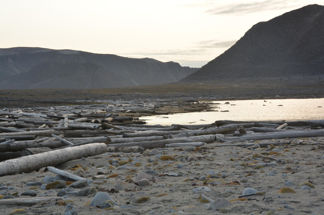 PLA11-24, Day 2, DSC_0201 (2) © Paolo Bellezze - Oceanwide Expeditions.JPG