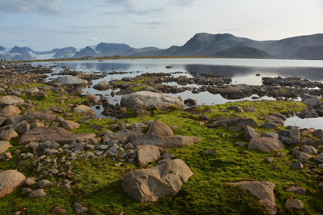 PLA11-24, Day 2, DSC_0209 © Paolo Bellezze - Oceanwide Expeditions.JPG