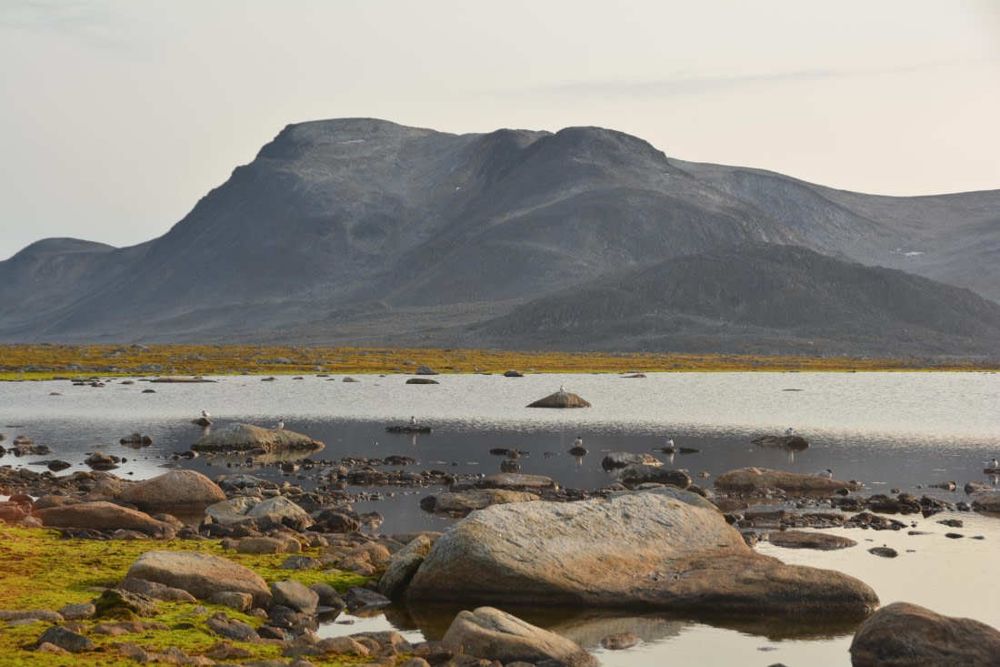 PLA11-24, Day 2, DSC_0216 (2) © Paolo Bellezze - Oceanwide Expeditions.JPG