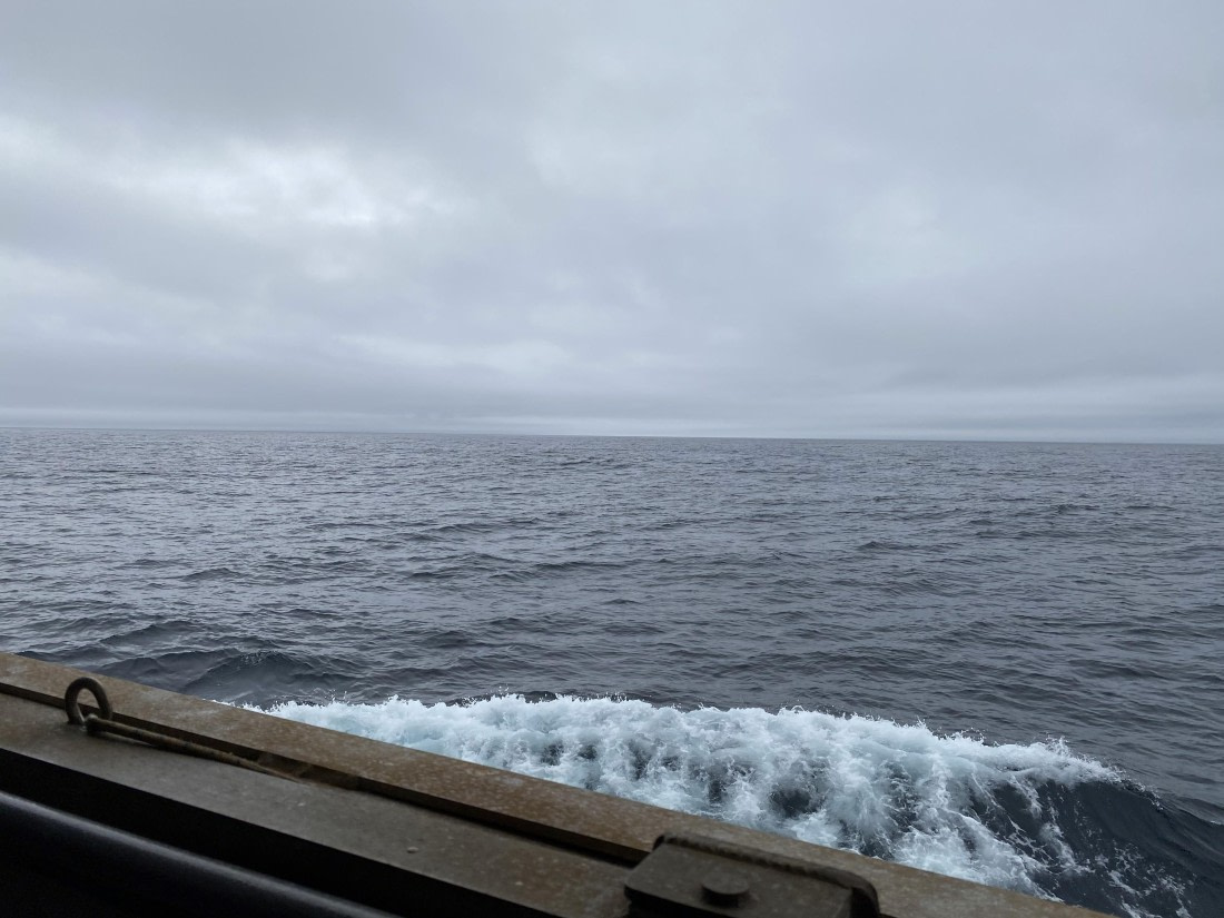 PLA11-24, Day 3,  IMG_6598 © Unknown photographer - Oceanwide Expeditions.jpg