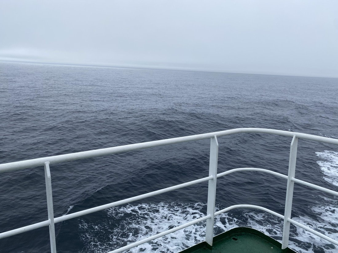 PLA11-24, Day 3,  IMG_6601 © Unknown photographer - Oceanwide Expeditions.jpg