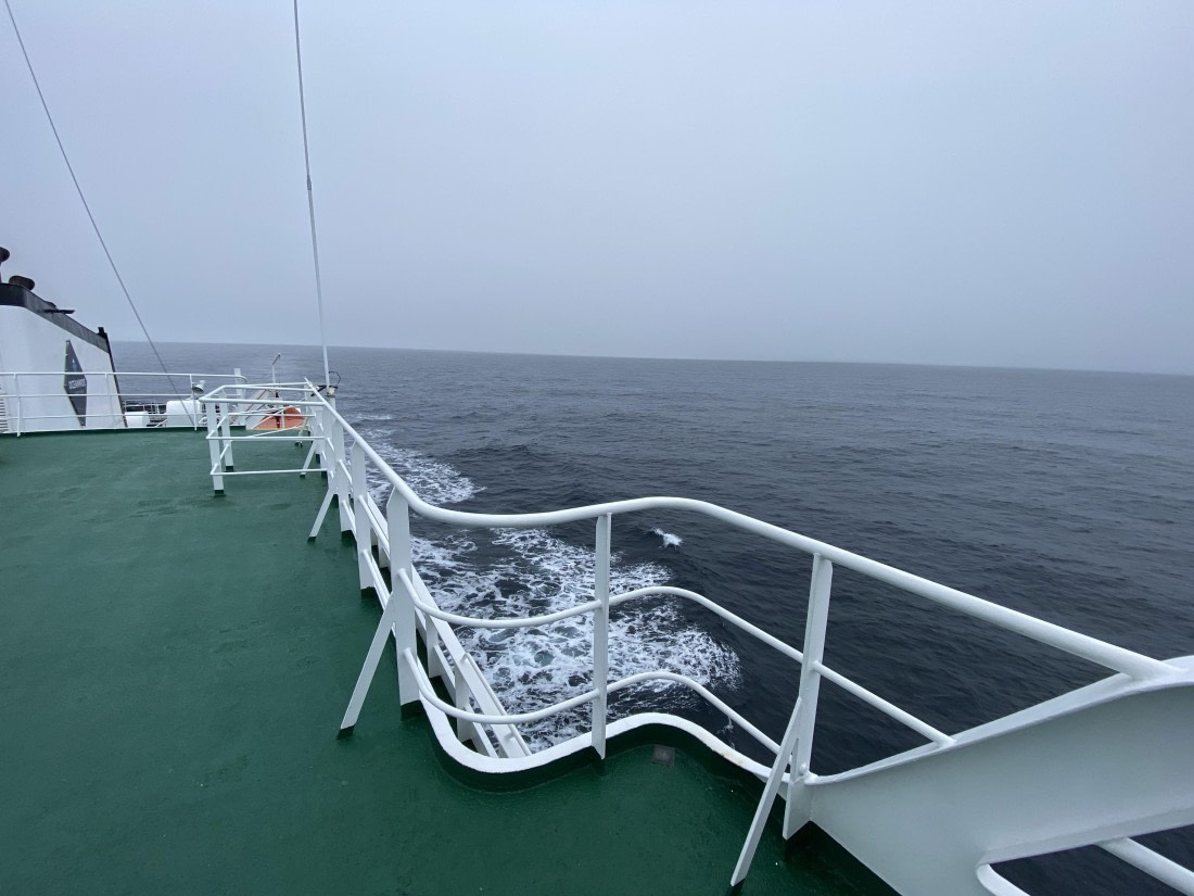 PLA11-24, Day 3,  IMG_6608 © Unknown photographer - Oceanwide Expeditions.jpg