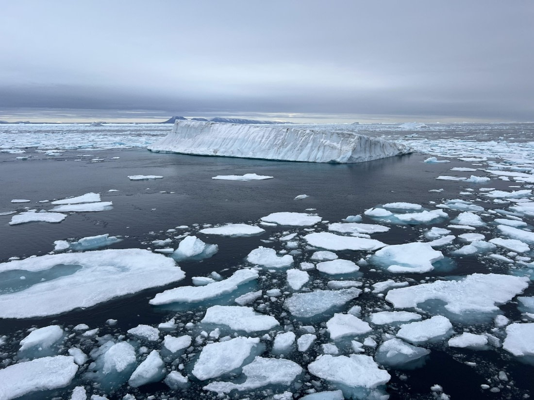 PLA11-24, Day 4,  IMG_5644 © Jess Owen - Oceanwide Expeditions.jpg
