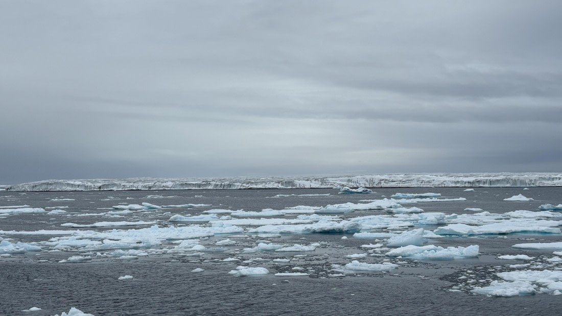 PLA11-24, Day 4,  IMG_E4620_© Ursula Tscherter © Ursula Tscherter - Oceanwide Expeditions.jpg