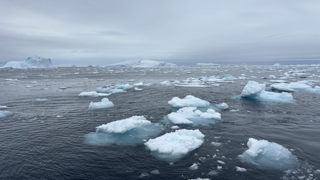 PLA11-24, Day 4,  IMG_E4631_© Ursula Tscherter © Ursula Tscherter - Oceanwide Expeditions.jpg