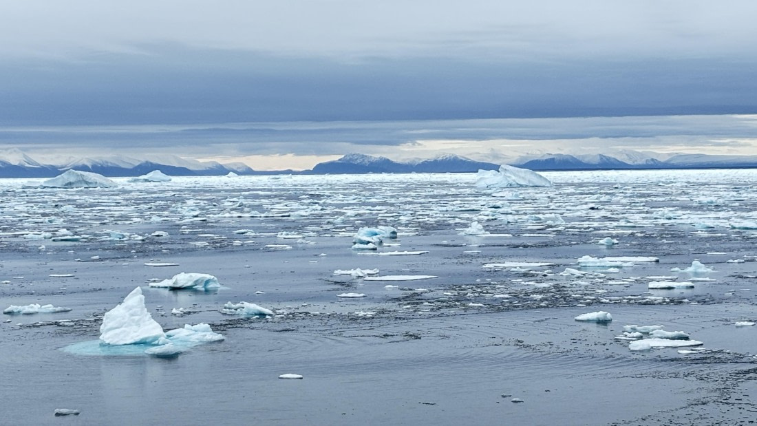 PLA11-24, Day 4,  IMG_E4641_© Ursula Tscherter © Ursula Tscherter - Oceanwide Expeditions.jpg