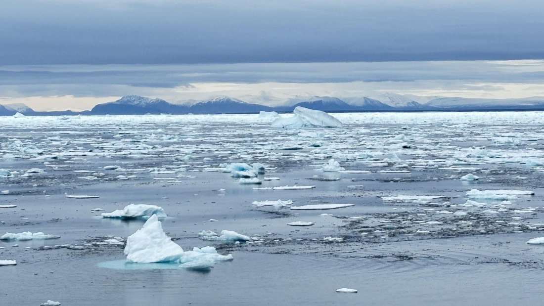 PLA11-24, Day 4,  IMG_E4643_© Ursula Tscherter © Ursula Tscherter - Oceanwide Expeditions.jpg