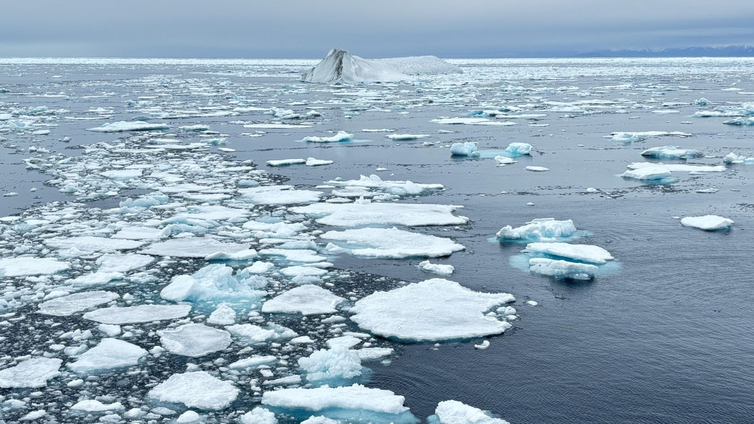 PLA11-24, Day 4,  IMG_E4645_© Ursula Tscherter © Ursula Tscherter - Oceanwide Expeditions.jpg