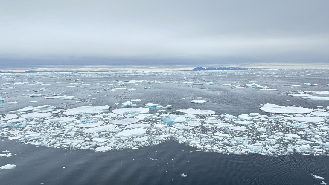 PLA11-24, Day 4,  IMG_E4654_© Ursula Tscherter © Ursula Tscherter - Oceanwide Expeditions.jpg