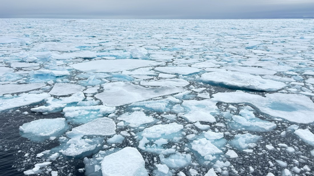 PLA11-24, Day 4,  IMG_E4678_© Ursula Tscherter © Ursula Tscherter - Oceanwide Expeditions.jpg