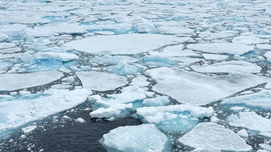 PLA11-24, Day 4,  IMG_E4680_© Ursula Tscherter © Ursula Tscherter - Oceanwide Expeditions.jpg