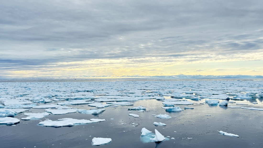 PLA11-24, Day 4,  IMG_E4695_© Ursula Tscherter © Ursula Tscherter - Oceanwide Expeditions.jpg