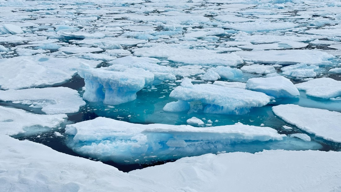 PLA11-24, Day 4,  IMG_E4702_© Ursula Tscherter © Ursula Tscherter - Oceanwide Expeditions.jpg