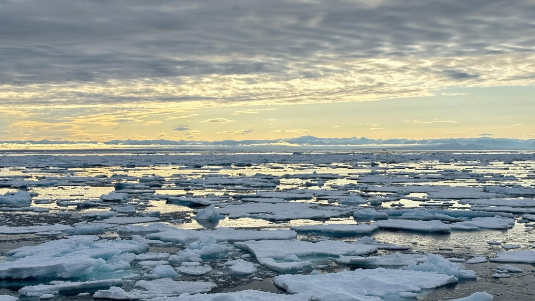 PLA11-24, Day 4,  IMG_E4709_© Ursula Tscherter © Ursula Tscherter - Oceanwide Expeditions.jpg