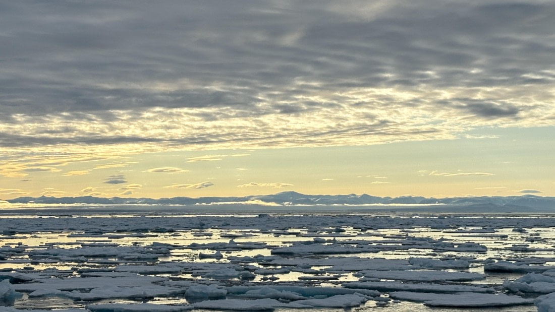 PLA11-24, Day 4,  IMG_E4713_© Ursula Tscherter © Ursula Tscherter - Oceanwide Expeditions.jpg