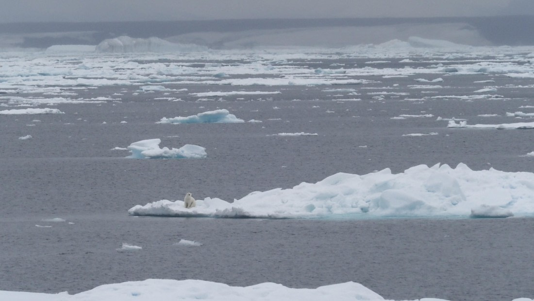 PLA11-24, Day 4, _1010166_© Ursula Tscherter © Ursula Tscherter - Oceanwide Expeditions.JPG