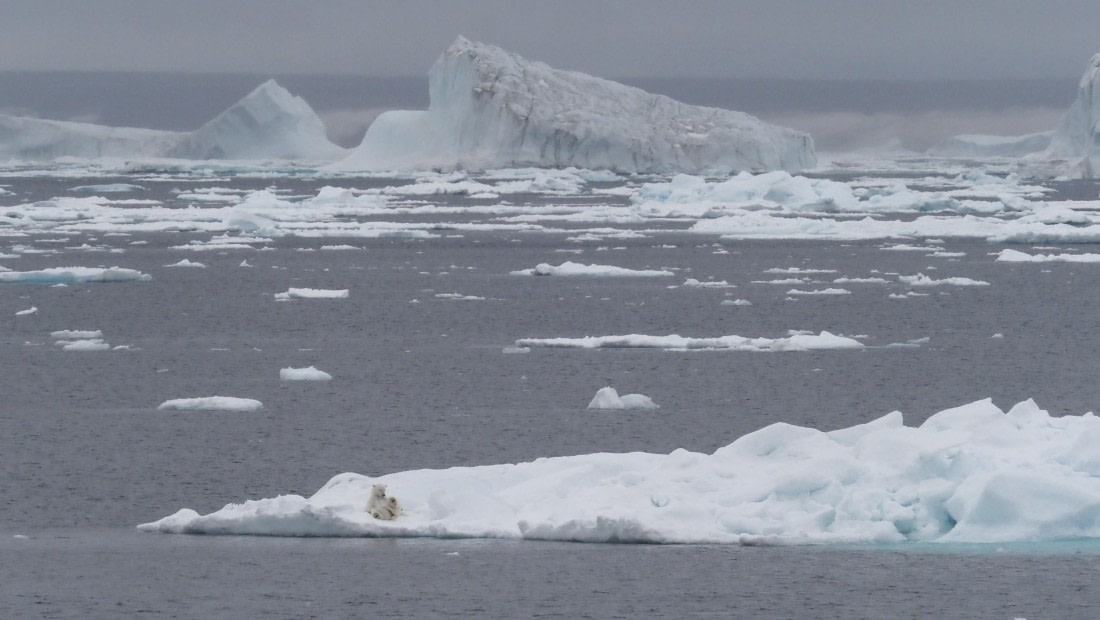PLA11-24, Day 4, _1010177_© Ursula Tscherter © Ursula Tscherter - Oceanwide Expeditions.JPG