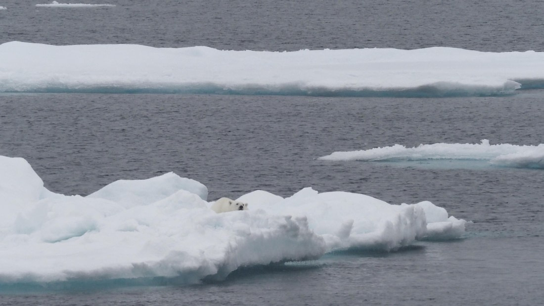 PLA11-24, Day 4, _1010241_© Ursula Tscherter © Ursula Tscherter - Oceanwide Expeditions.JPG