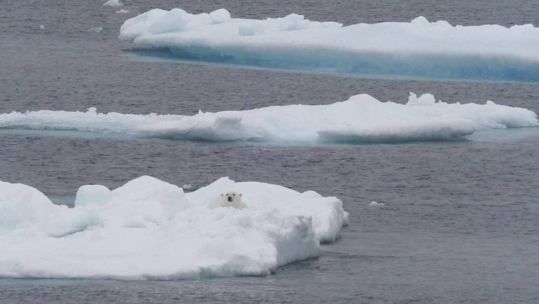 PLA11-24, Day 4, _1010243_© Ursula Tscherter © Ursula Tscherter - Oceanwide Expeditions.JPG