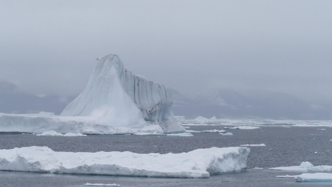 PLA11-24, Day 4, _1010303_© Ursula Tscherter © Ursula Tscherter - Oceanwide Expeditions.JPG