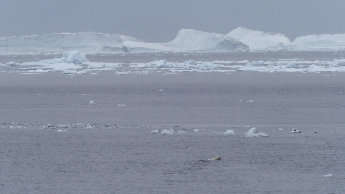 PLA11-24, Day 4, _1010575_© Ursula Tscherter © Ursula Tscherter - Oceanwide Expeditions.JPG