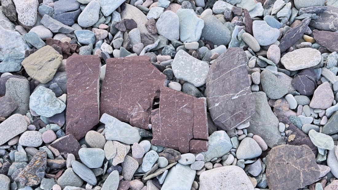 PLA11-24, Day 5,  IMG_E4864_© Ursula Tscherter © Ursula Tscherter - Oceanwide Expeditions.jpg